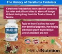herbal-nutrition-caralluma-fimbriata-180-5.jpg