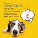 omega-caps-es-for-large-giant-dogs-250-c-6.jpg