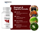 brain-productivity-supports-focus-memory-5.jpg
