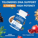 telomeres-dna-support-anti-aging-supplem-3.jpg