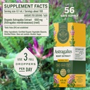 herbamama-astragalus-root-tincture-vegan-3.jpg