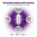 aor-chanca-piedra-500mg-90-vegan-capsule-3.jpg