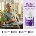 aor-chanca-piedra-500mg-90-vegan-capsule-2.jpg