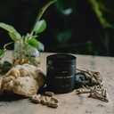 terra-elmnt-lion-s-mane-ashwagandha-and--4.jpg