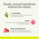 gaba-and-l-theanine-gummies-natural-stre-5.jpg