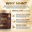 nmn-supplement-1200mg-pure-liposomal-nmn-3.jpg