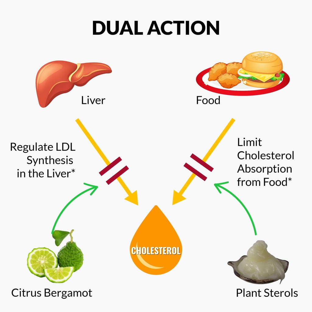 upnourish-plant-sterols-citrus-bergamot--2.jpg