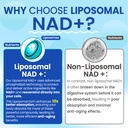 liposomal-nad-supplement-for-women-men-m-5.jpg