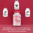 smartypants-kids-probiotic-immunity-gumm-4.jpg