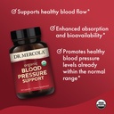 dr-mercola-organic-blood-pressure-suppor-4.jpg