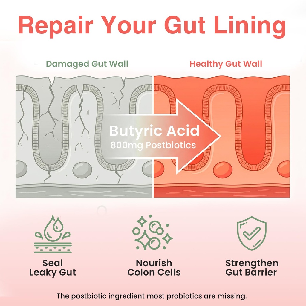 probiotics-for-gut-health-prebiotics-and-4.jpg