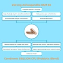 nutricelebrity-optimal-stress-relief-sup-5.jpg