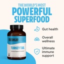 freshcap-mushrooms-immunity-bundle-turke-3.jpg