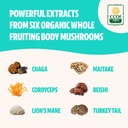 freshcap-mushrooms-immunity-bundle-turke-4.jpg