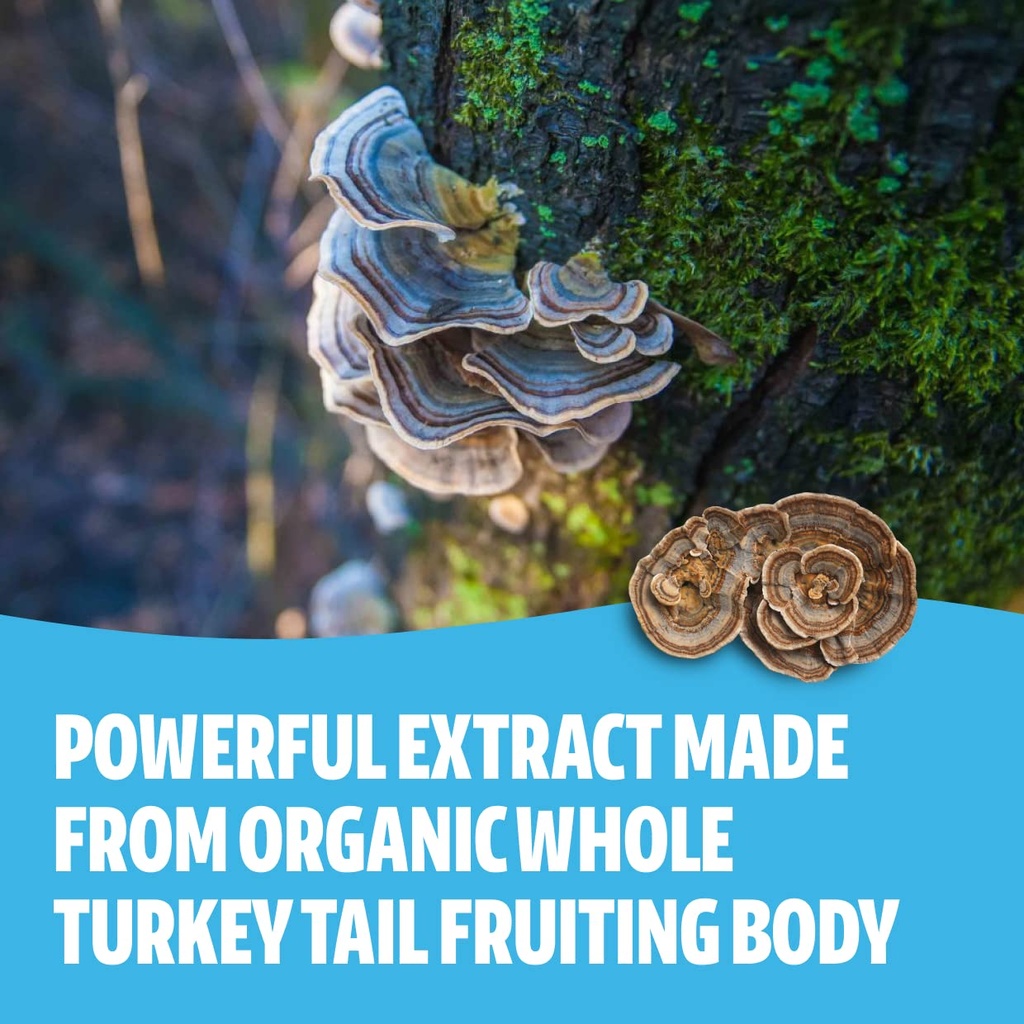 freshcap-mushrooms-immunity-bundle-turke-5.jpg