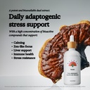 rainbo-alcohol-free-mushroom-bundle-reis-3.jpg