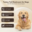 organic-turkey-tail-mushroom-for-dogs-10-2.jpg
