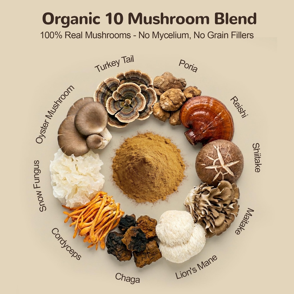 organic-turkey-tail-mushroom-for-dogs-10-4.jpg