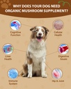 mushroom-for-dogs-9-organic-mushroom-sup-2.jpg