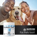 pacific-rim-mushrooms-turkey-tail-supple-2.jpg