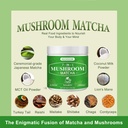 mushroom-matcha-adaptogenic-mushroom-ble-2.jpg