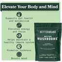 betterbrand-better-lungs-mushrooms-bundl-6.jpg
