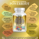 shilajit-complex-sea-moss-tongkat-ali-as-4.jpg