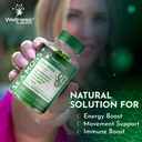 wellness-labsrx-sea-moss-gummies-3200mg--6.jpg