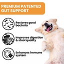 probiotics-for-dogs-bacillus-coagulans-p-2.jpg