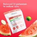 just-ingredients-watermelon-lime-electro-3.jpg