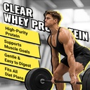 ingreens-clear-protein-whey-protein-isol-4.jpg