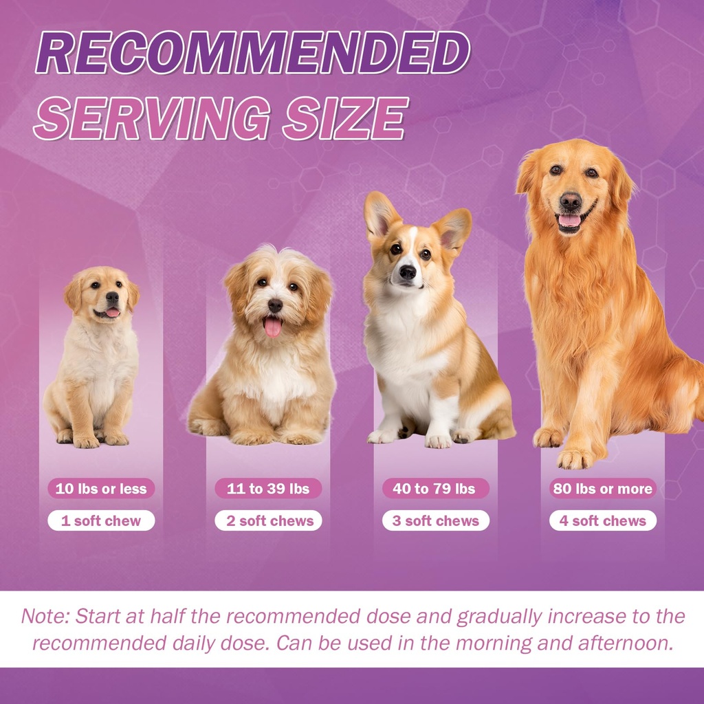 fish-oil-for-dogs-allergy-and-itch-relie-6.jpg