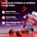 migcopat-brain-supplements-for-memory-an-5.jpg