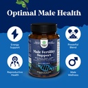 bundle-of-fertility-supplement-with-coq1-4.jpg