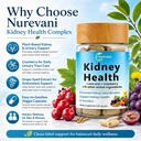 nurevani-kidney-health-complex-plant-bas-6.jpg