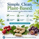 nurevani-kidney-health-complex-plant-bas-5.jpg