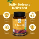bundle-of-milk-thistle-liver-support-sup-5.jpg