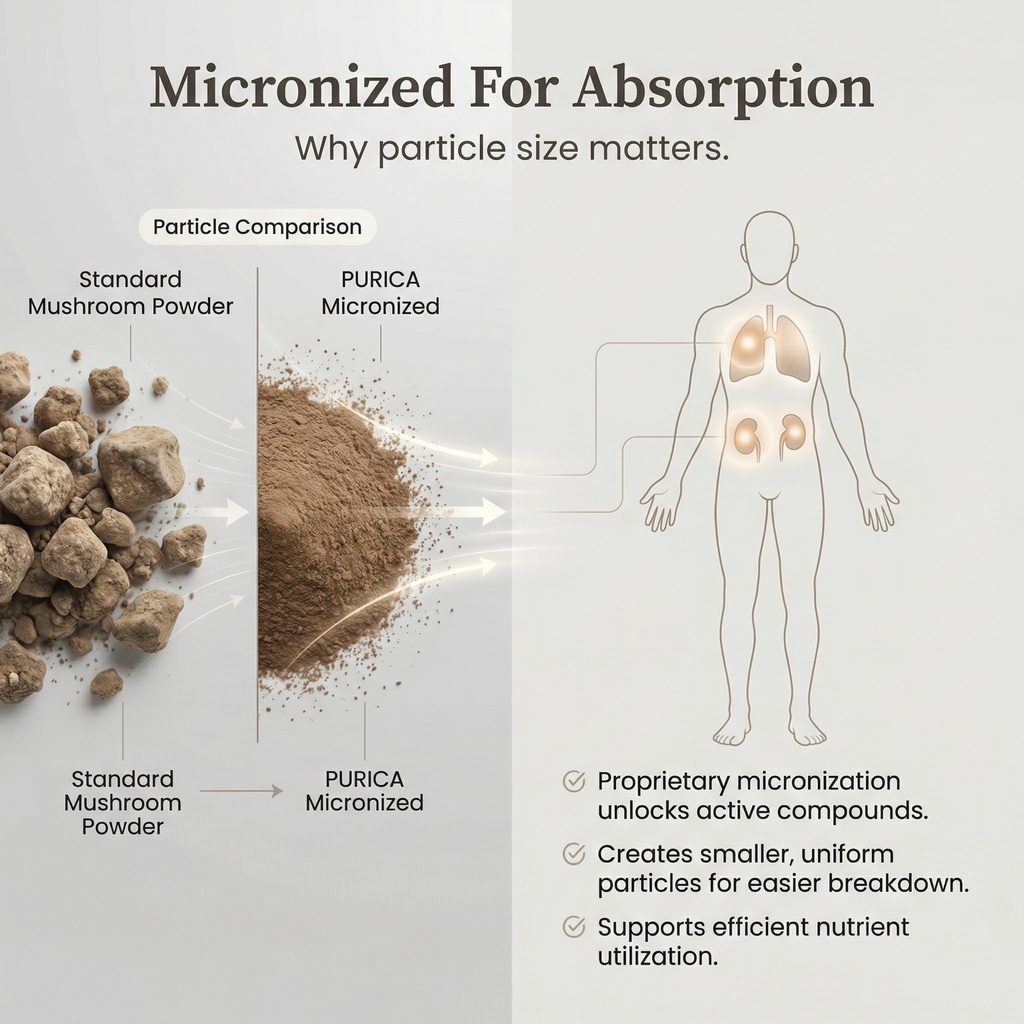 purica-cordyceps-mushroom-supplements-12-5.jpg