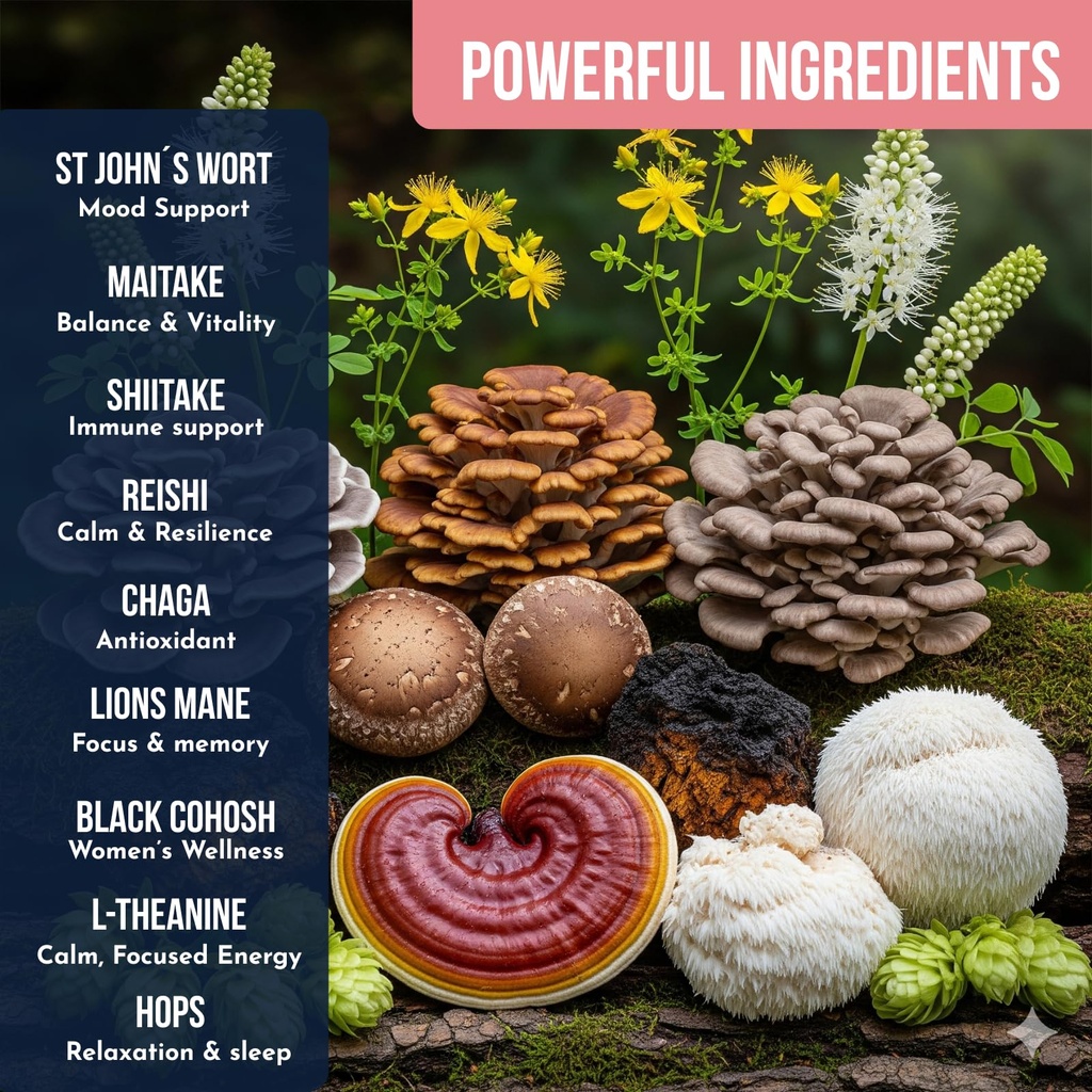 mushroom-coffee-for-women-by-ylva-blends-6.jpg