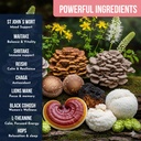 mushroom-coffee-for-women-by-ylva-blends-6.jpg