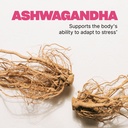 swisse-daily-multivitamin-for-women-47-v-3.jpg
