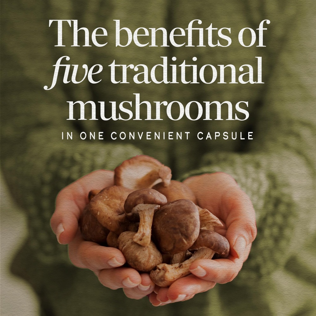 nature-s-way-5-mushroom-blend-includes-l-2.jpg