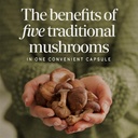 nature-s-way-5-mushroom-blend-includes-l-2.jpg
