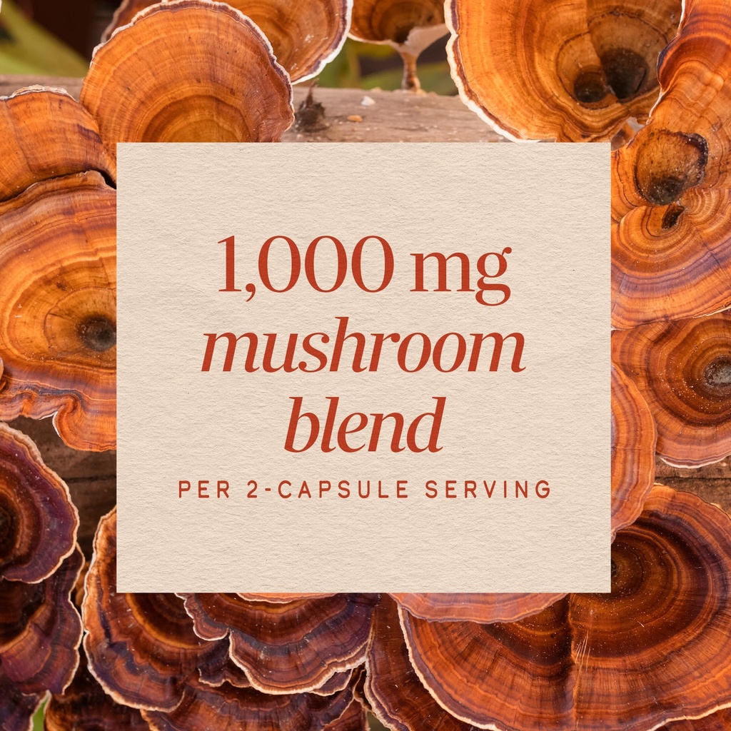 nature-s-way-5-mushroom-blend-includes-l-4.jpg