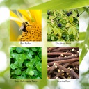 nature-s-sunshine-energ-v-herbal-blend-t-4.jpg