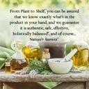 nature-s-answer-panax-ginseng-chinese-wh-6.jpg