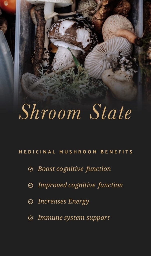 flow-state-lifestyles-mushroom-10x-shroo-2.jpg
