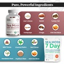 atlantic-naturals-sea-moss-superfood-bun-2.jpg