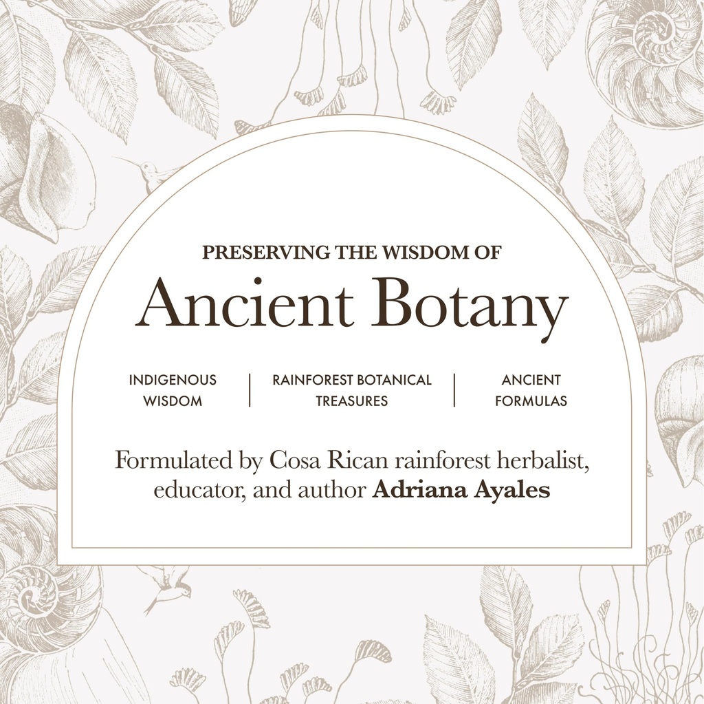 anima-mundi-apothecary-suma-brazilian-gi-2.jpg
