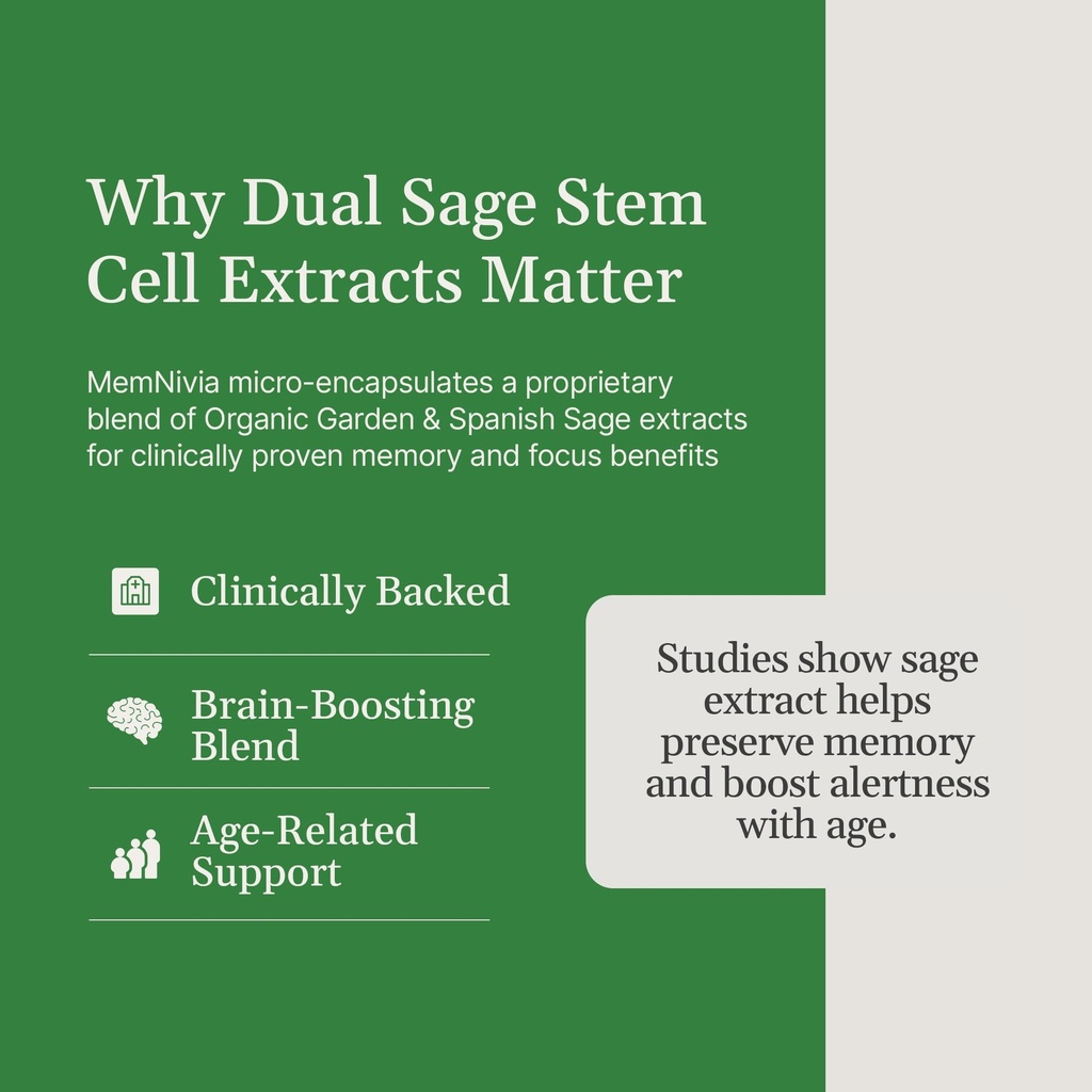 memnivia-brain-supplements-for-memory-fo-2.jpg